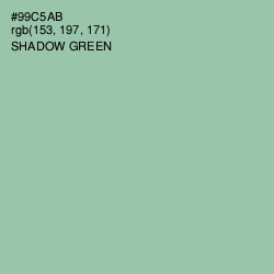 #99C5AB - Shadow Green Color Image